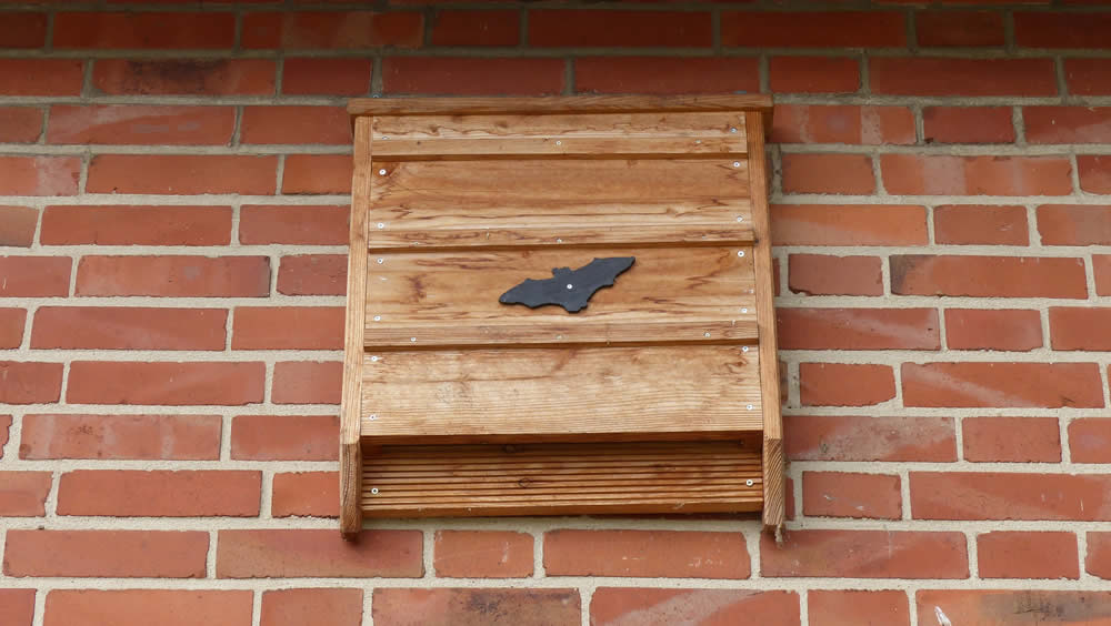 Bat Box