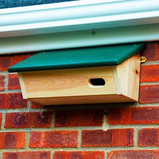Swift Nest Box