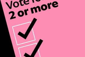 A graphic showing two boxes ticked on a ballot paper, with the caption,