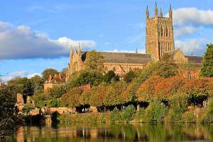Trees surrounding Worcester Cathedral