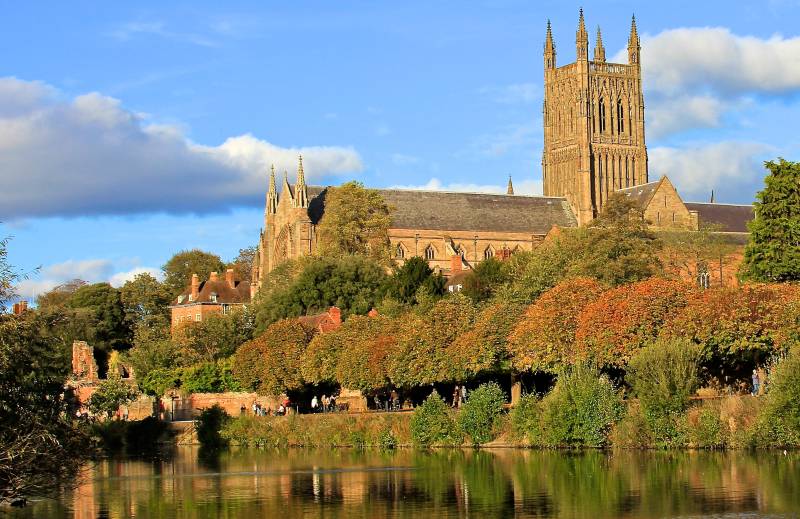 Trees surrounding Worcester Cathedral